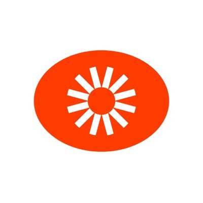 Visual Electric logo